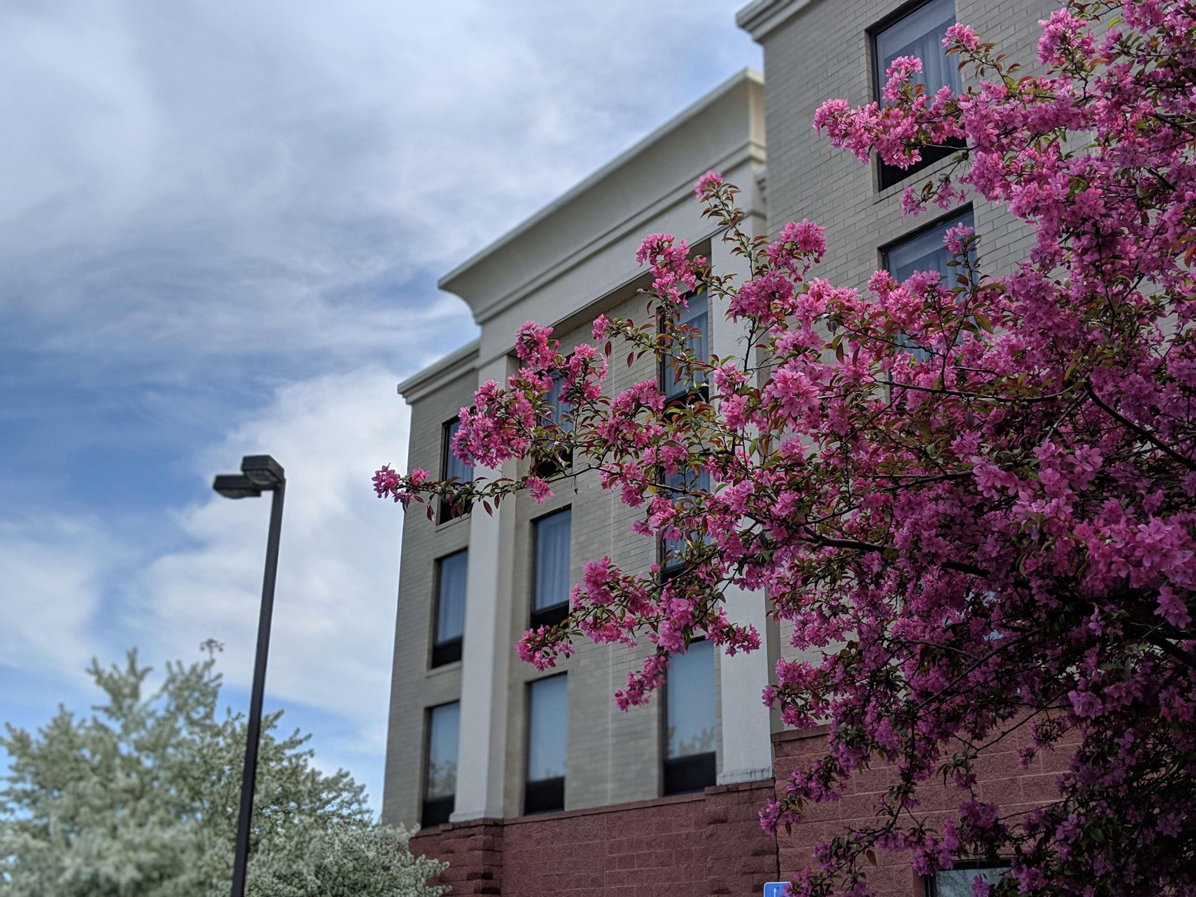 Hampton Inn & Suites Cincinnati-Union Centre West Chester Buitenkant foto