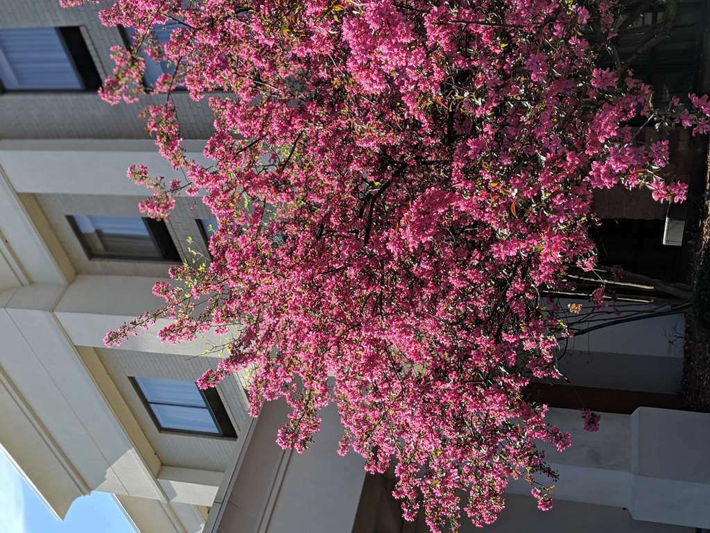 Hampton Inn & Suites Cincinnati-Union Centre West Chester Buitenkant foto